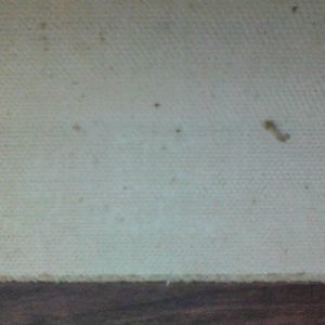 Meet your Posher, Kay